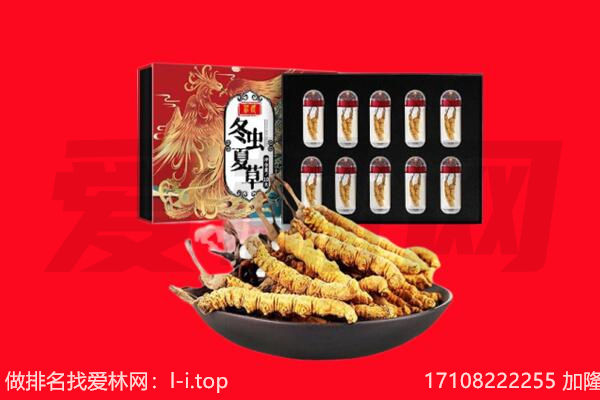 贵阳南明区回收虫草.jpg